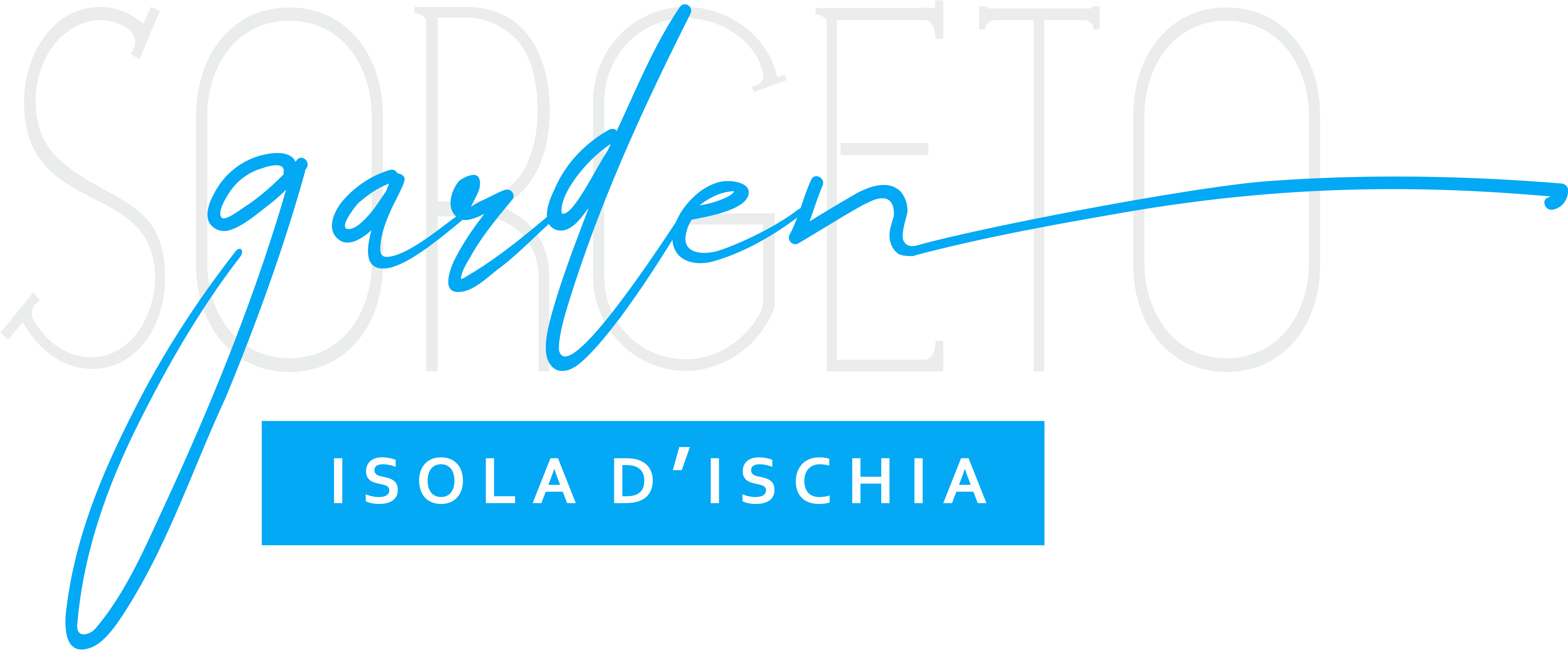 logo_white_big